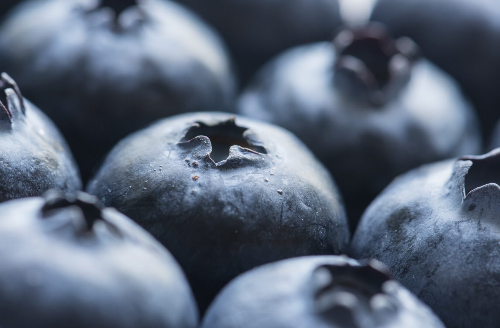 A close up of some blueberries with one blueberry missing.